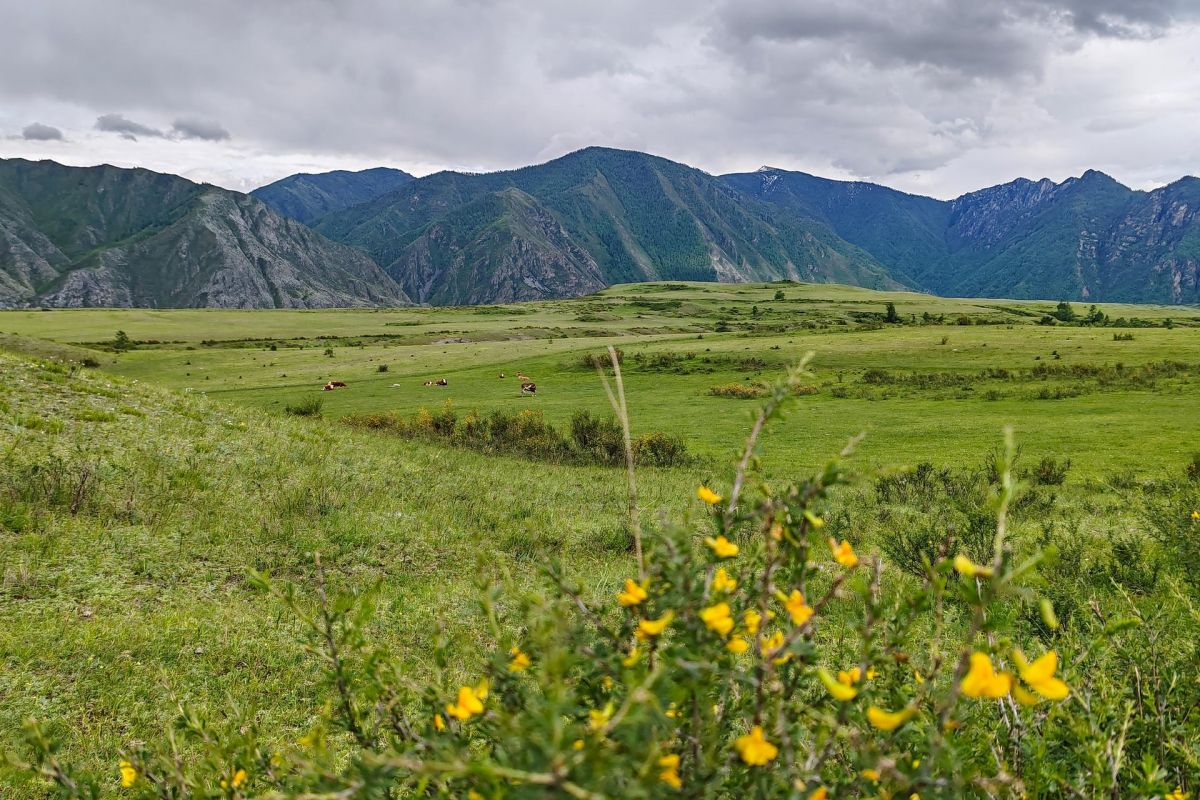 Красивый Алтай (фотолокации, платья включены)