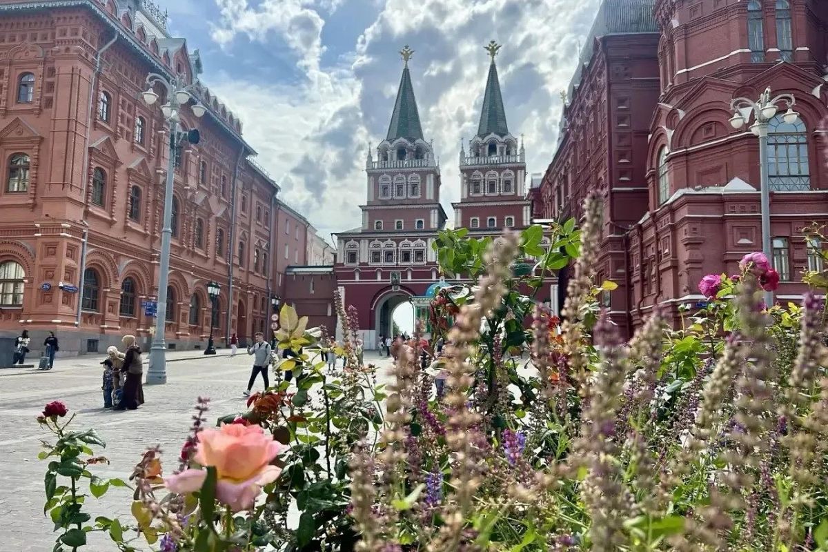 Моя Москва