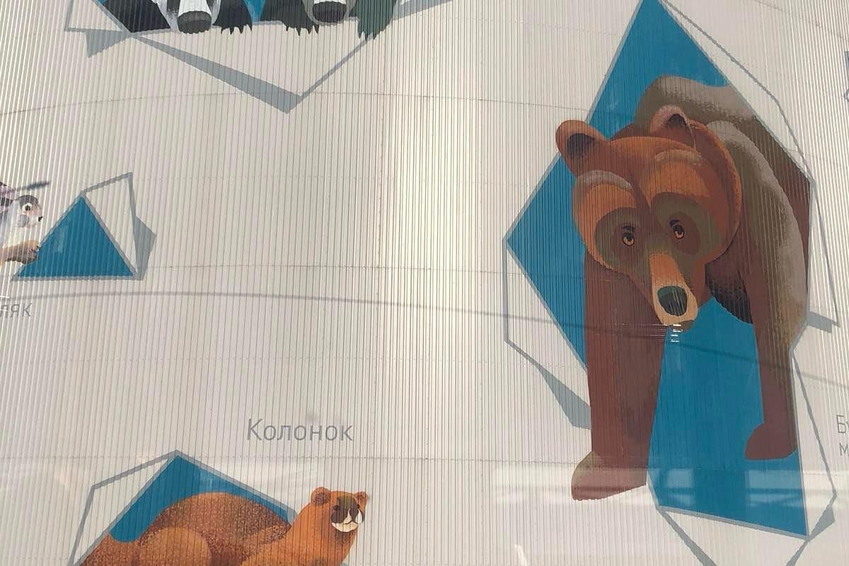 В поисках «Чёрного золота»: От буровой вышки до термального оазиса. 2026