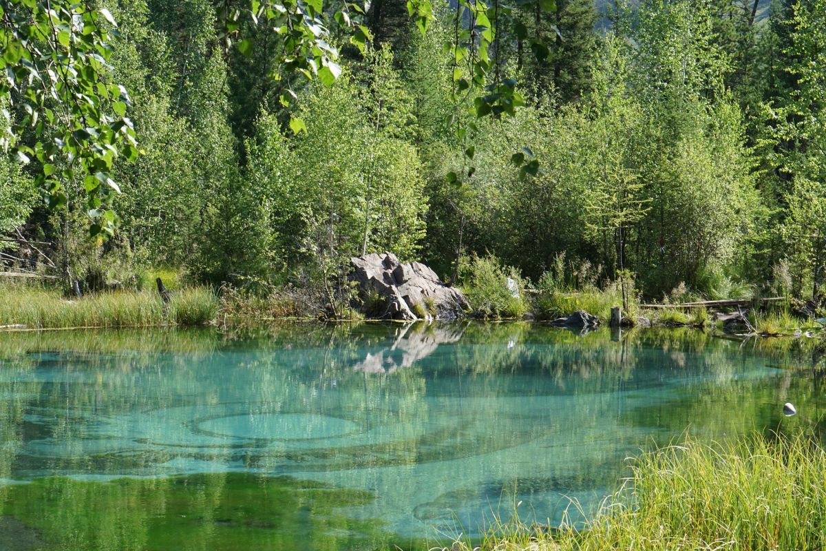 Отдых в Алтай Пелас Маральник 5* + Чемал + Чуйский тракт
