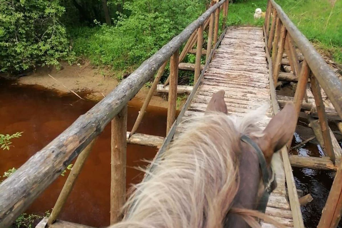 Конный тур: 2 выходных дня в седле