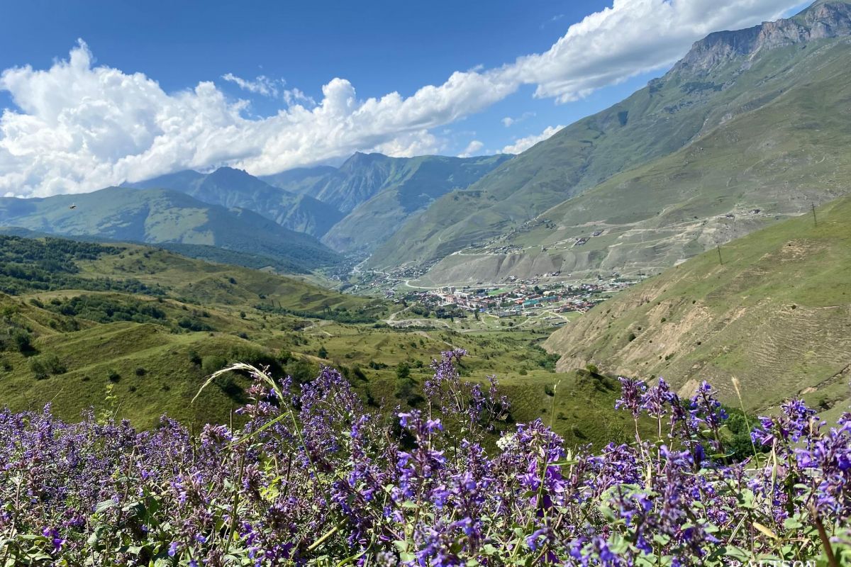 ЭТО КАВКАЗ! (заезды по СР)