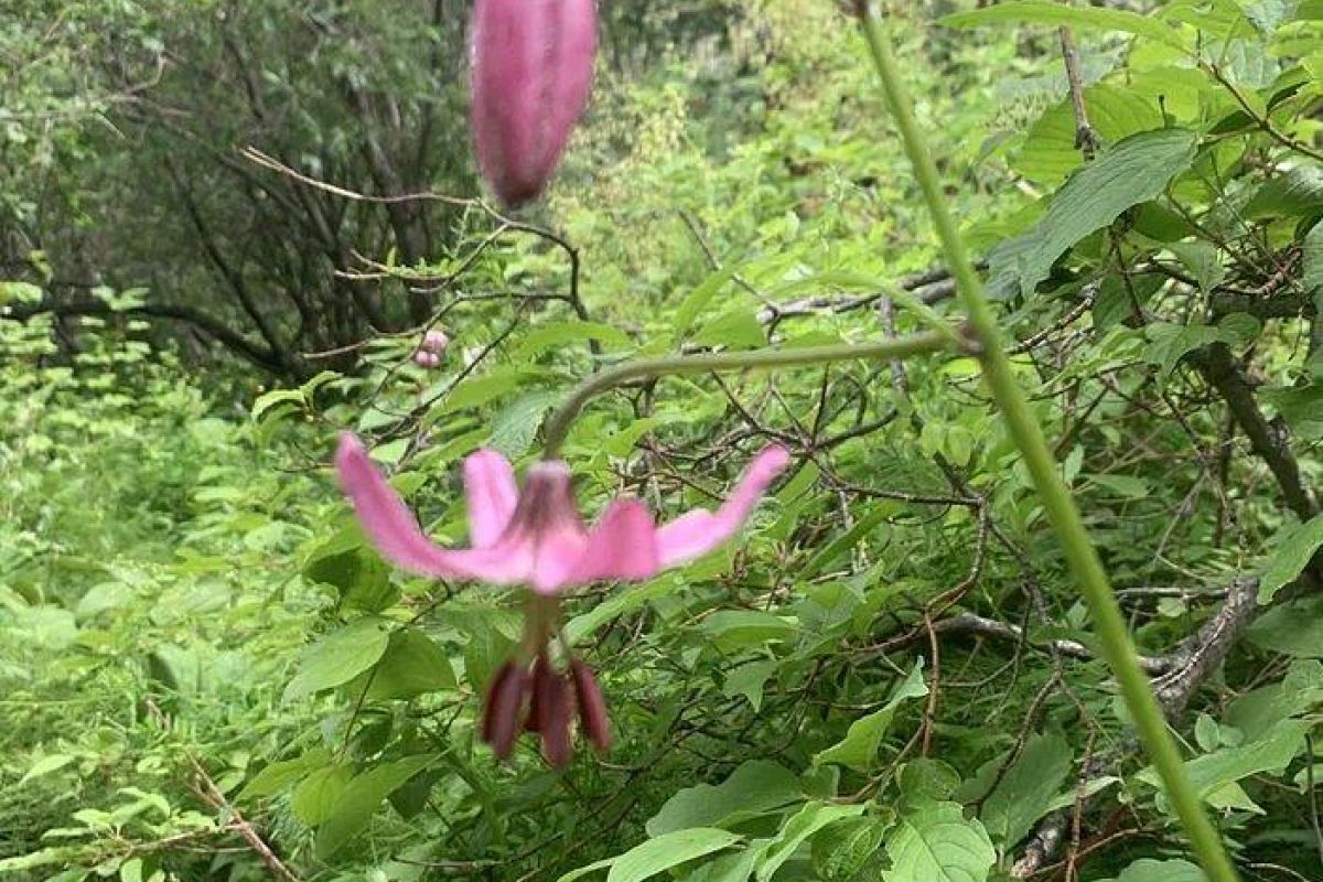 Байкальские красоты! Лето 2027! Июнь/Сентябрь