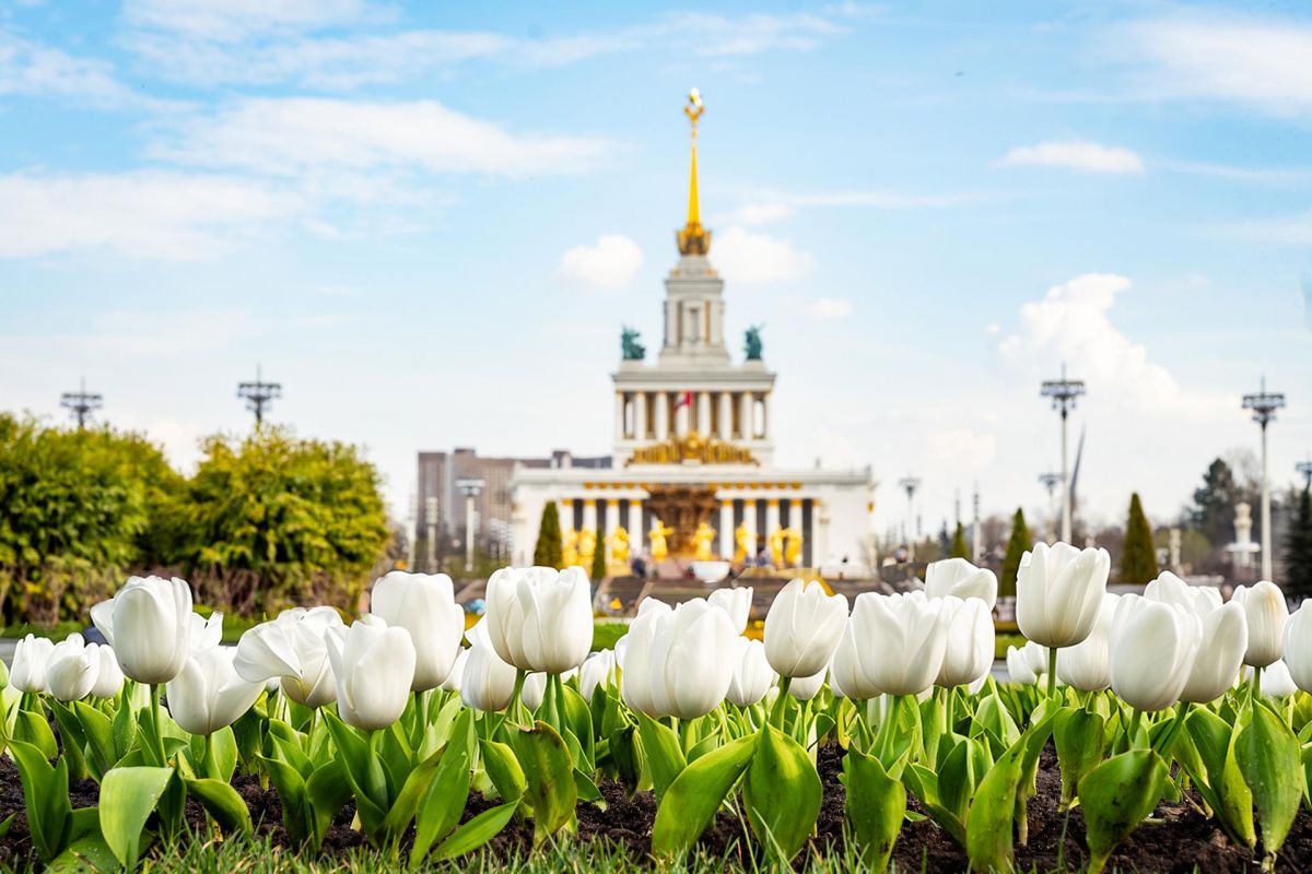Выходные в Москве – СТАНДАРТ (СБОРНО-ГРУППОВОЙ ТУР)