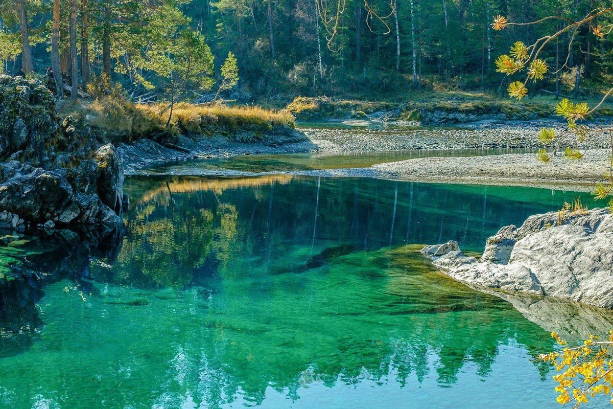 Алтай. Осенний блюз