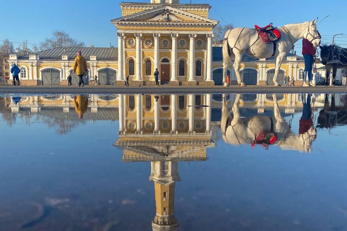 День в Костроме. Обзорная экскурсия, лосеферма, музей Сыра.