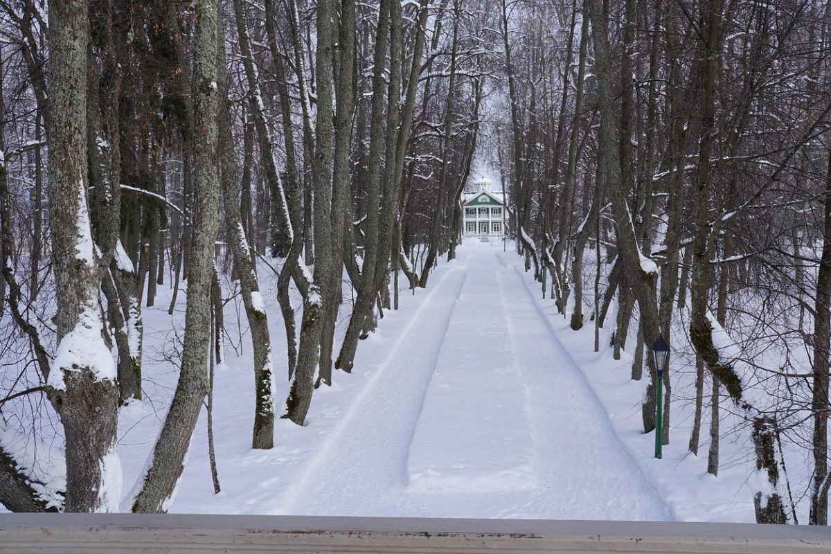 Зимние каникулы в Пскове 3 дня