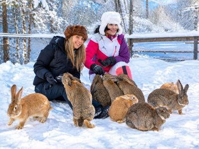 Кольский Меридиан: Мурманск + Териберка + этнодеревня + Кировск / Хибины