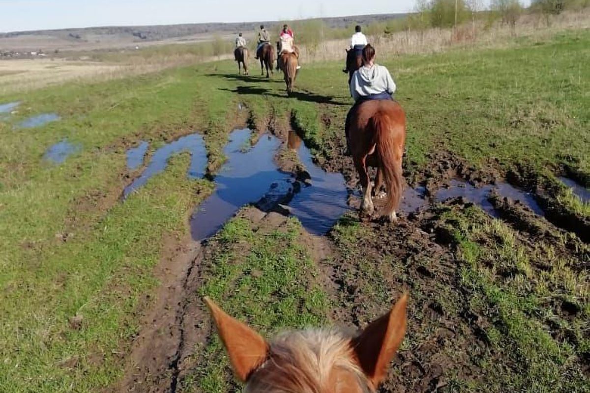 Конный тур: 2 выходных дня в седле
