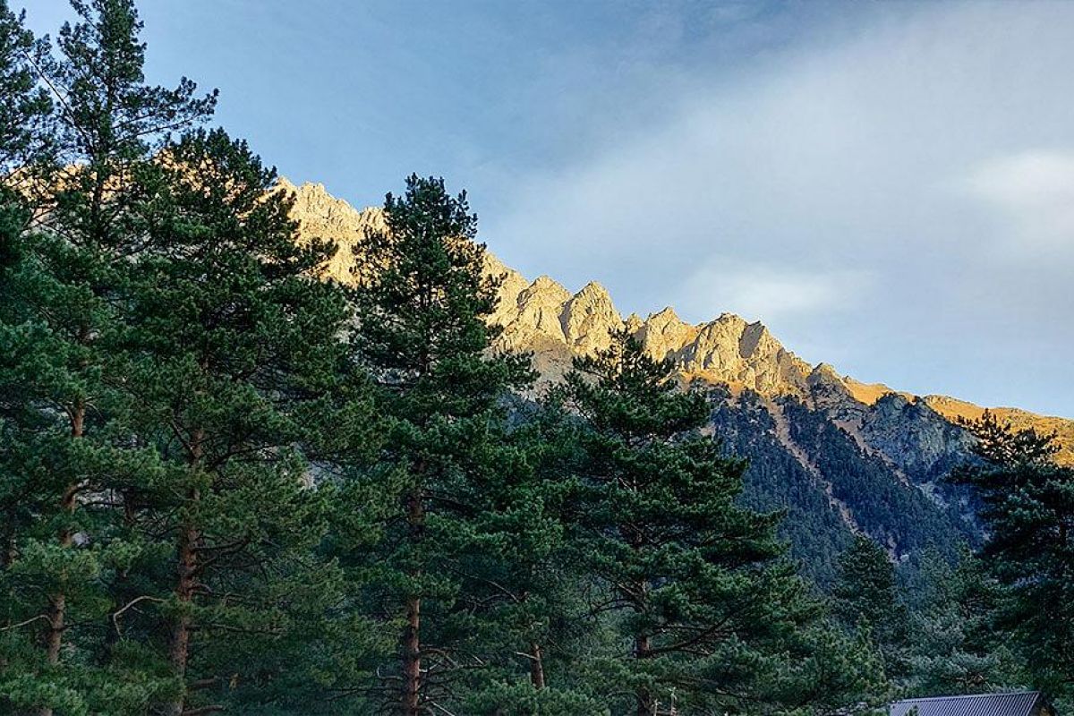 Горнолыжный тур на курорт Мамисон и Цей