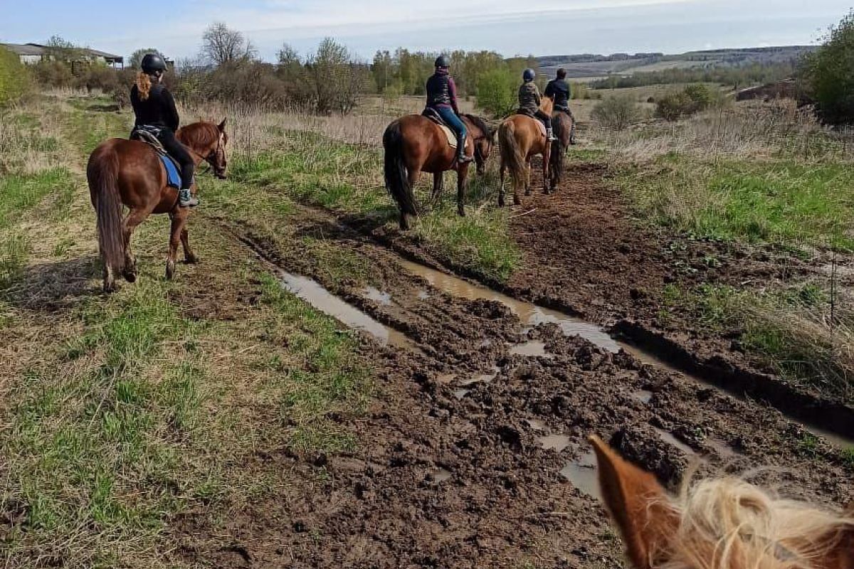 Конный тур: 2 выходных дня в седле