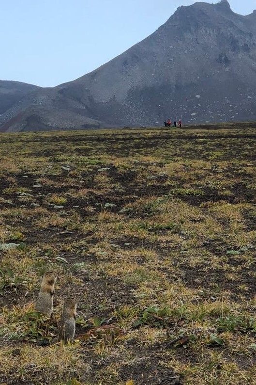 Осенний джиппинг на Камчатке